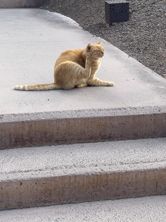 Sonstiges Lopesan Baobab Resort