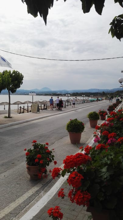 Ausblick Hotel Corissia Princess