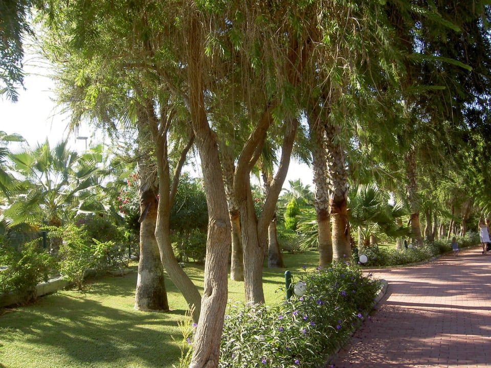 Garten 1 VONRESORT Golden Coast