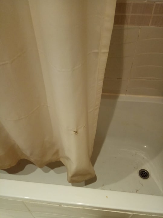 Zimmer Imperial Shams Abu Soma