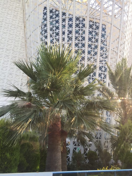 Außenansicht Sultan of Dreams Hotel & Spa