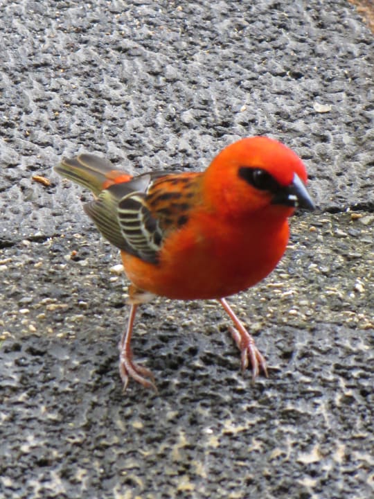 Hotel La Mariposa Hotel La Mariposa