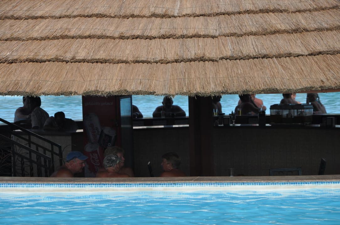 Schwimmbar Pickalbatros Palace Resort