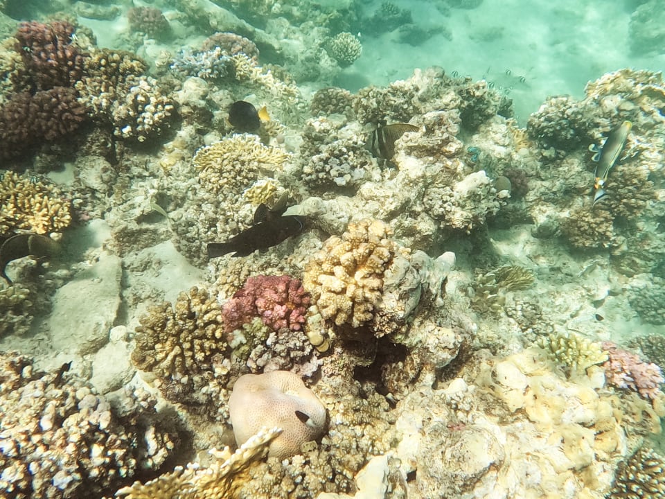 Strand Brayka Bay Resort