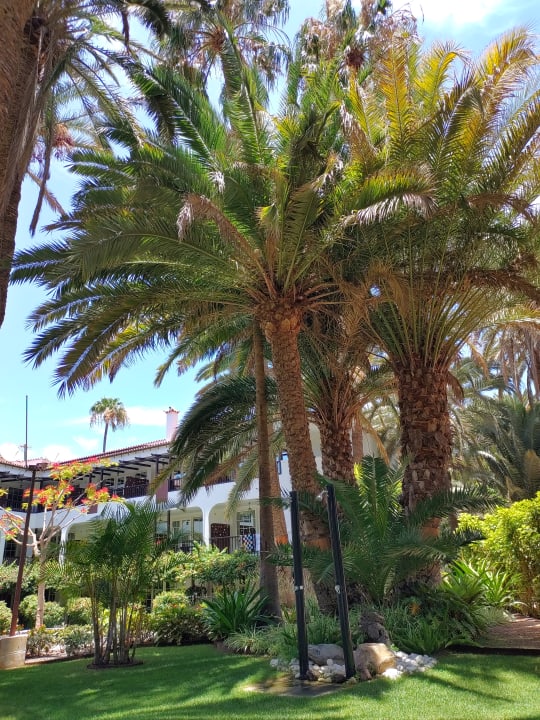 Außenansicht Eden Meloneras by TAM Resorts