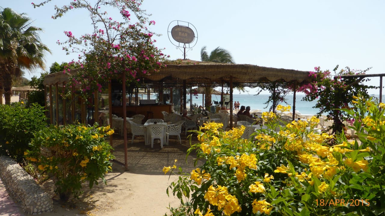 Eine der Strandbars Fort Arabesque Resort, Spa & Villas