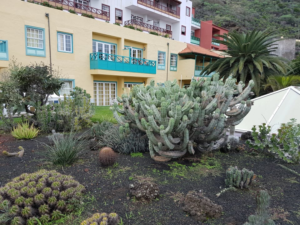Gartenanlage Hacienda San Jorge