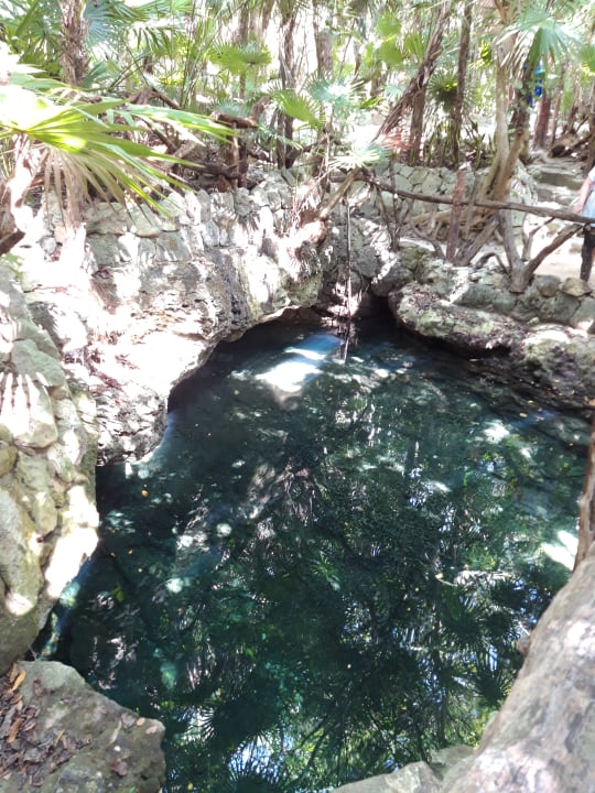 Gartenanlage Sandos Caracol Eco Resort & Spa Select Club Adults only - All Inclusive