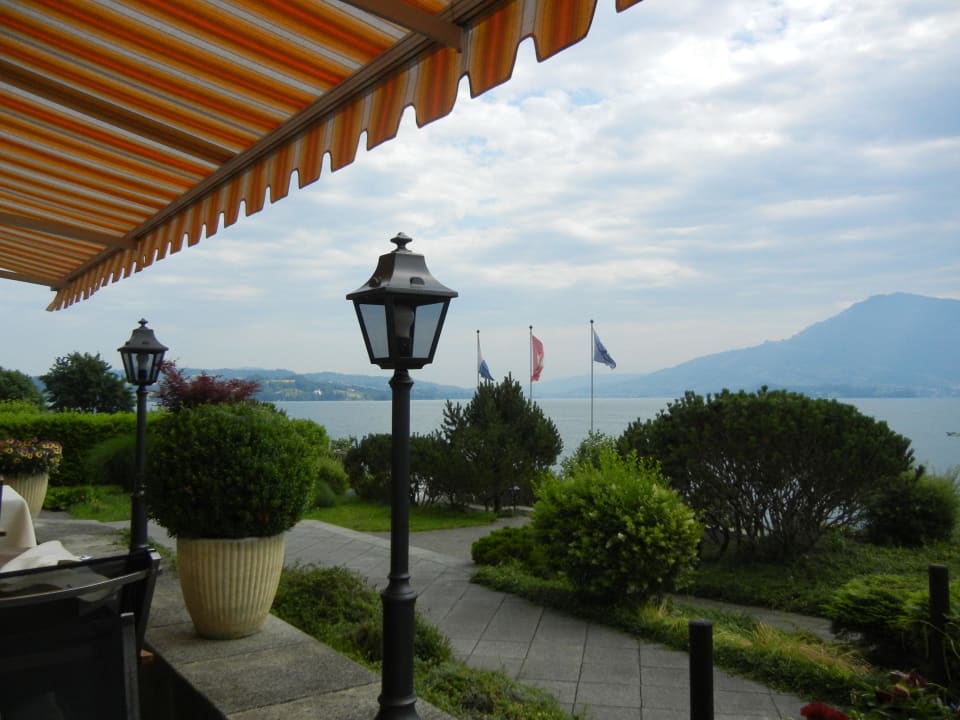 Blick von der Terrasse Seehotel Kastanienbaum