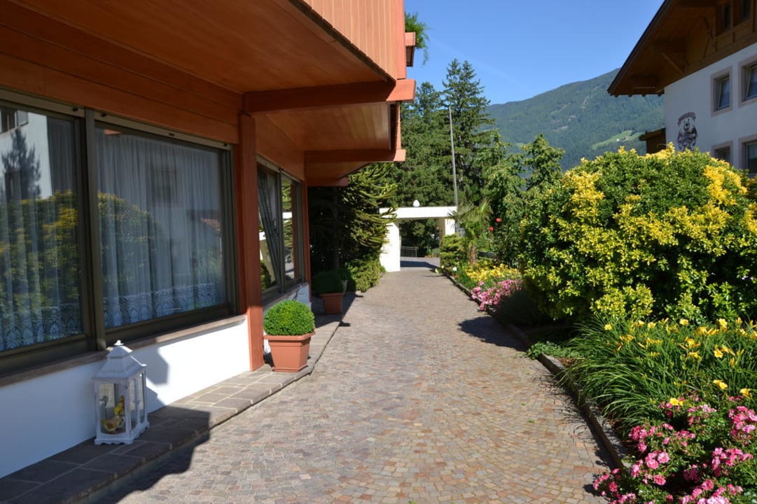 Garten / Eingangsbereich Hotel Nocturnes