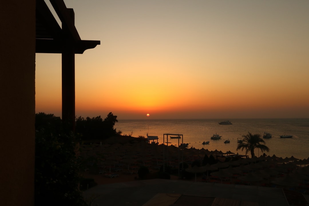 Zimmer Prima Life Makadi Resort