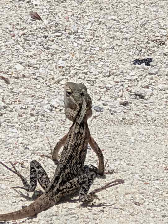 Sonstiges Adaaran Select Meedhupparu Island Resort - Premium All Inclusive