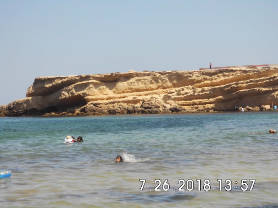 Strand Delphin El Habib