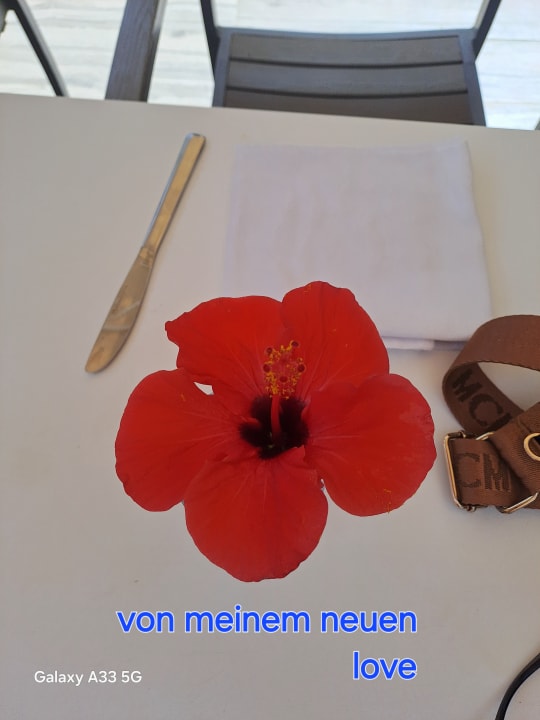 Gastro Mahdia Beach & Aquapark