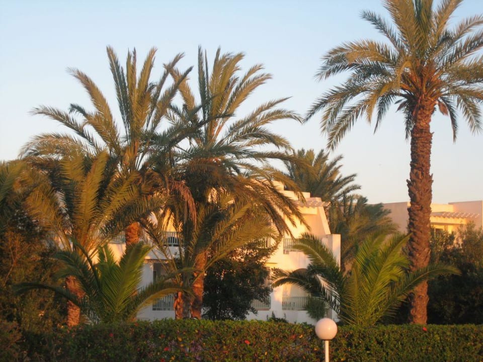 Gartenanlage El Mouradi Club Kantaoui