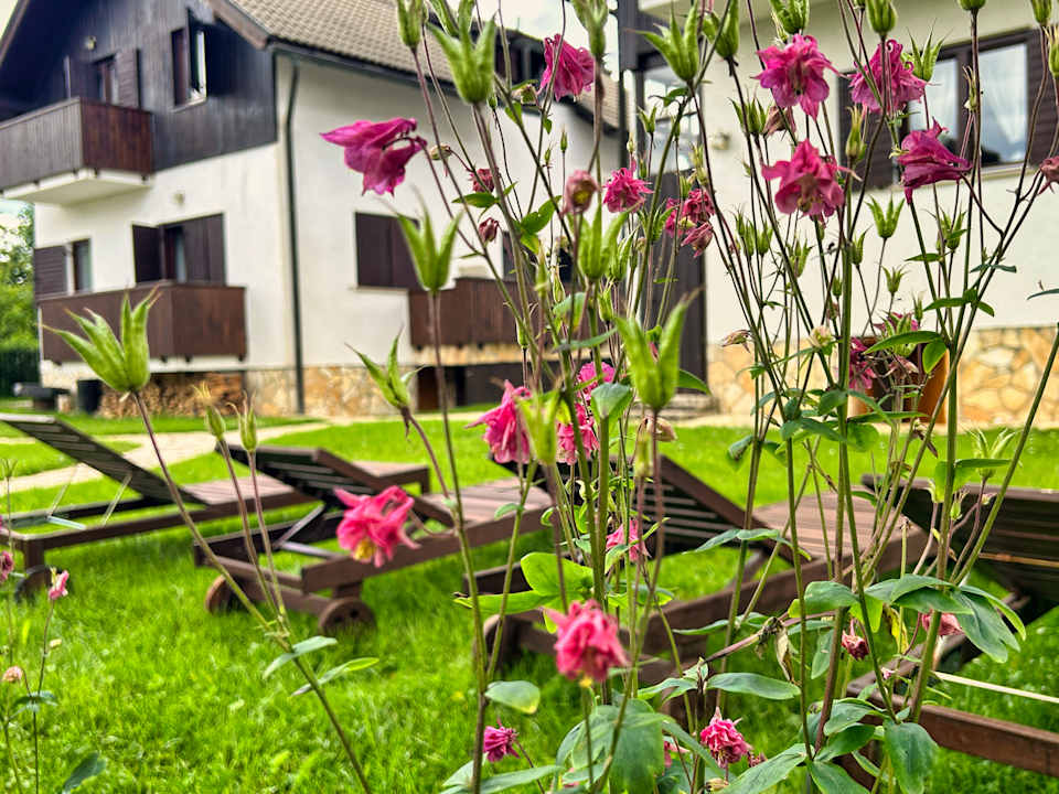 Außenansicht Etno Garden