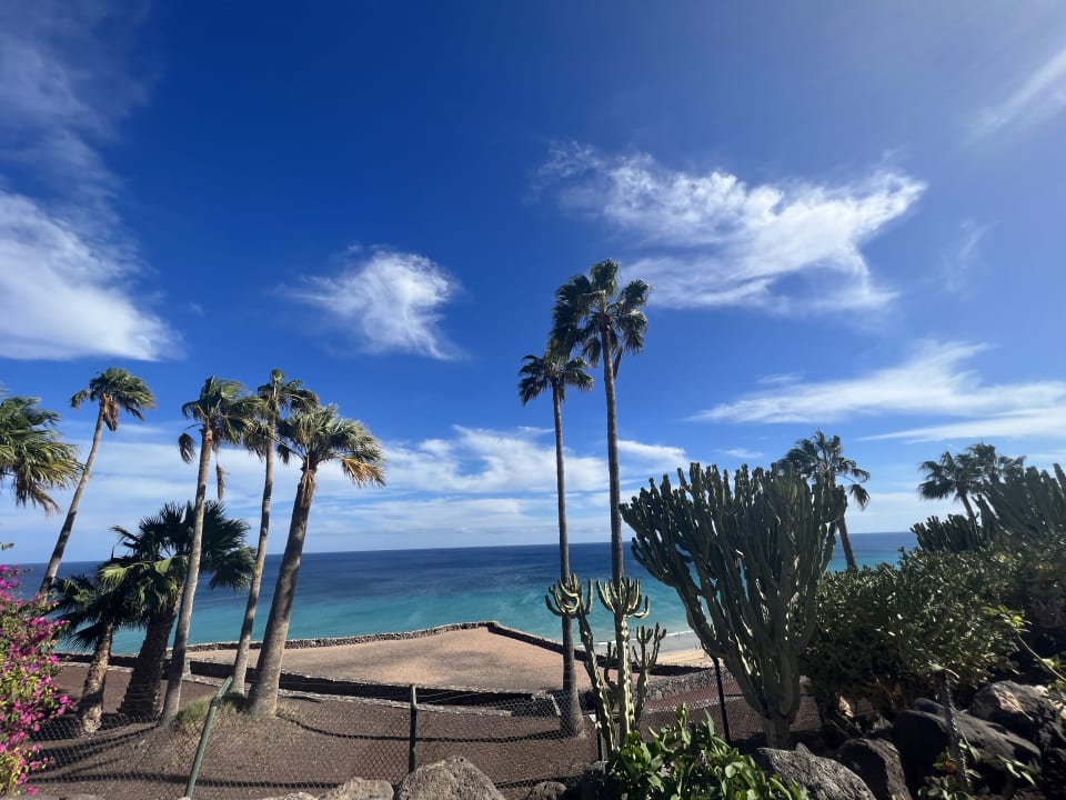 Ausblick ROBINSON ESQUINZO PLAYA