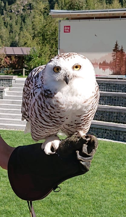 Sonstiges Hotel Johanna mitten im Ötztal
