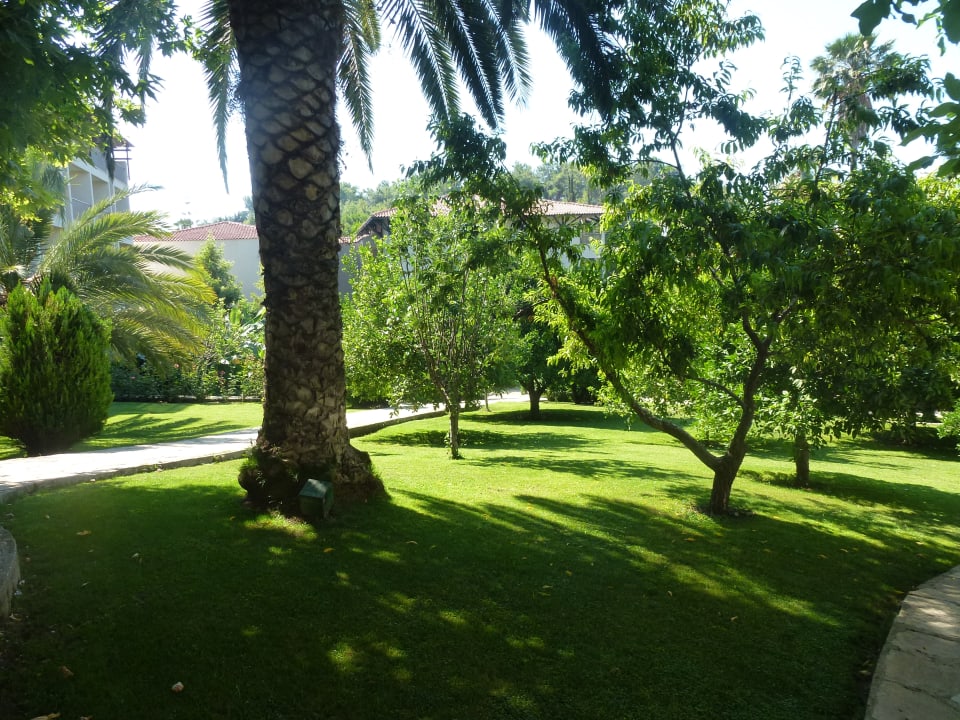 Gartenanlage Barut Hemera