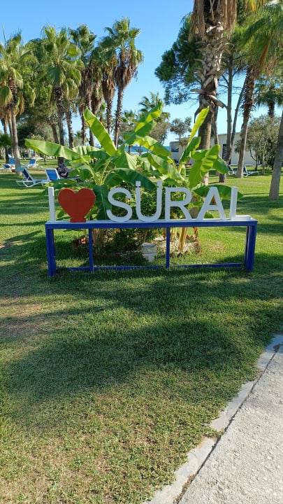 Gartenanlage Süral Saray Hotel