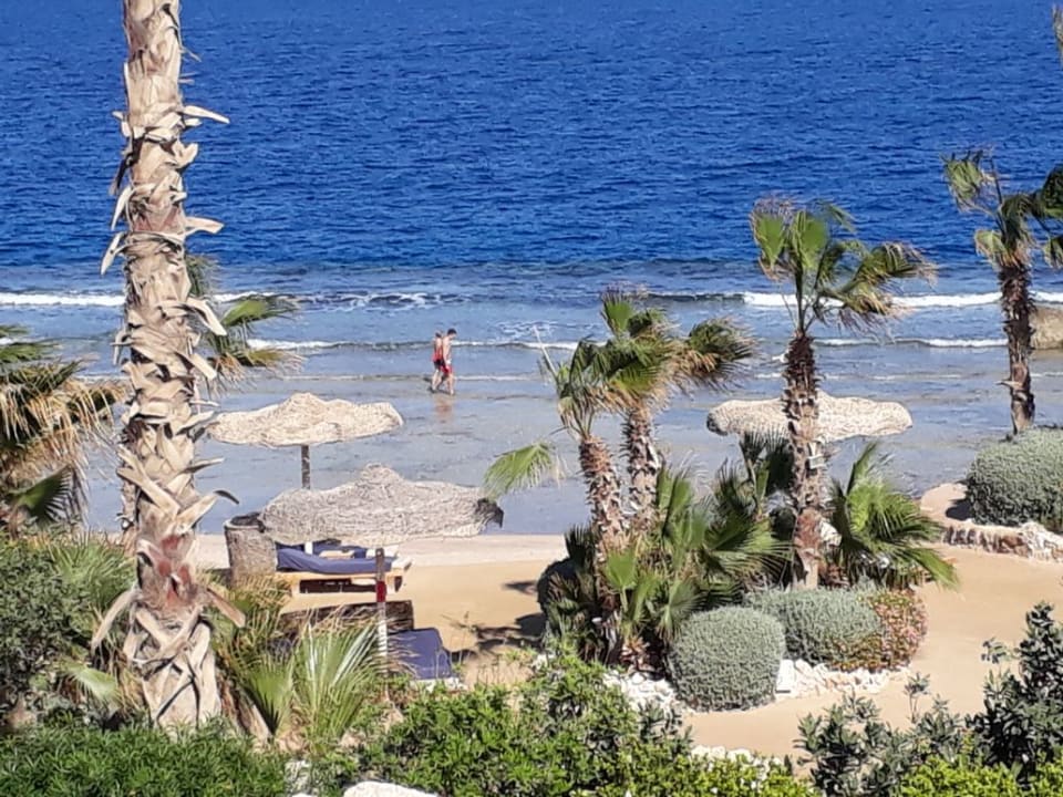 Strand Pickalbatros Citadel Resort