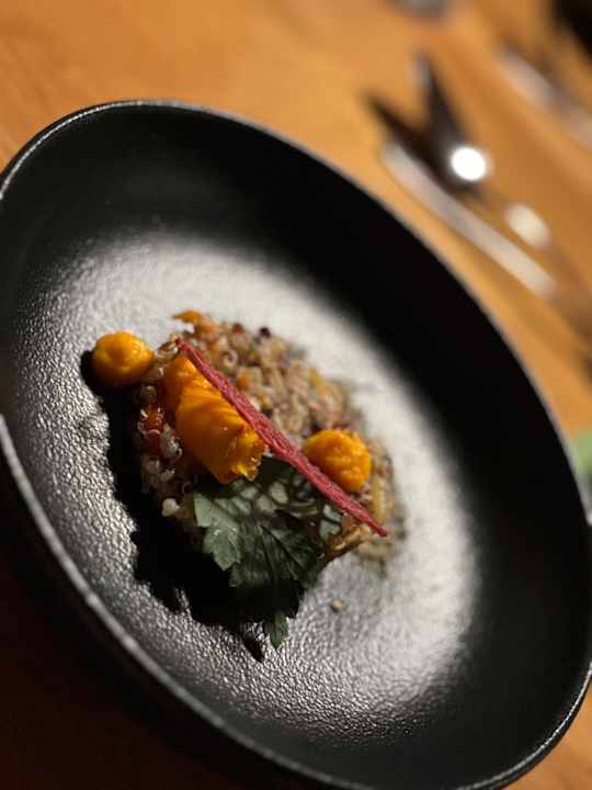 Gastro Naturhotel Bauernhofer