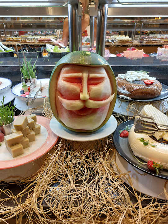 Gastro Seashell Vega