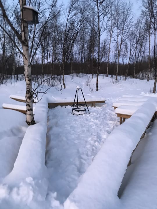 Gartenanlage Wild Caribou Dome