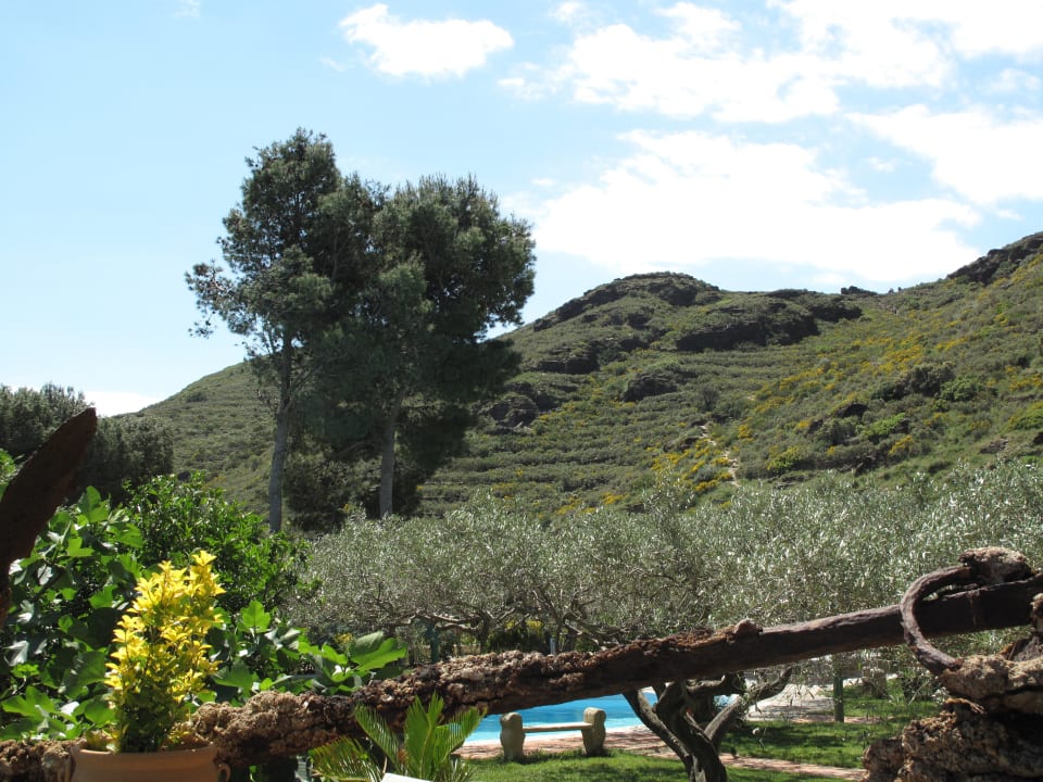 Garten Hotel Cala Joncols