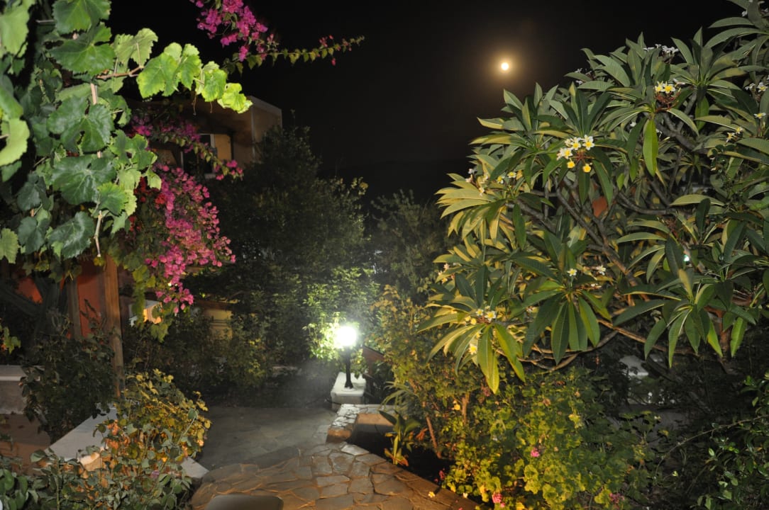 Gartenanlage Ormos Atalia Village