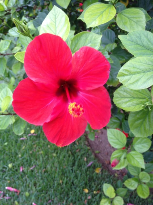 Überall vertreten Hotel Exagon Park