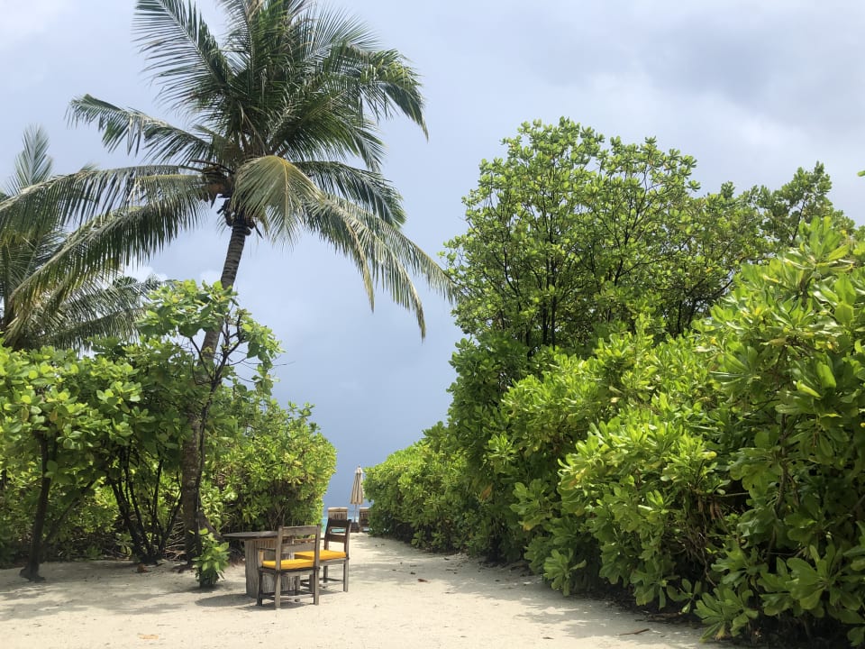 Strand Hotel Six Senses Laamu