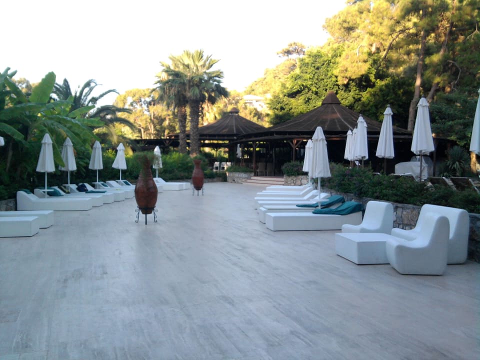 Liegen am Pool TUI MAGIC LIFE Sarigerme