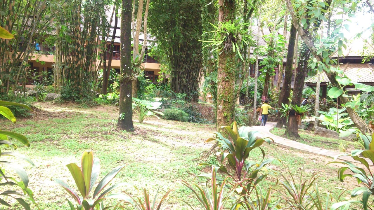 Blick von Balkon Zimmer 4126 Khao Lak Merlin Resort