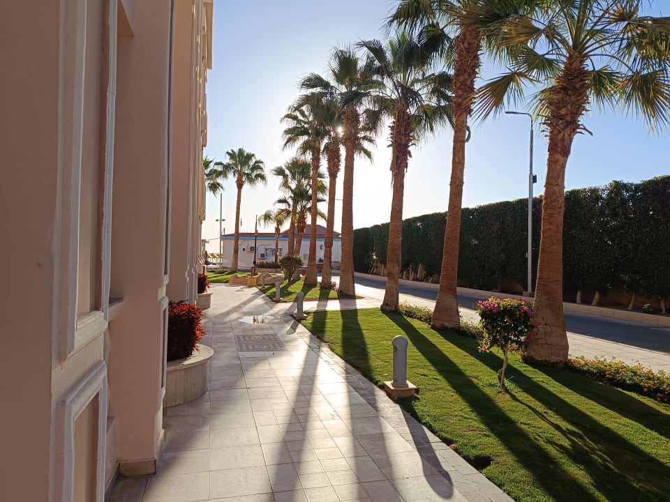 Ausblick Pickalbatros Palace Resort