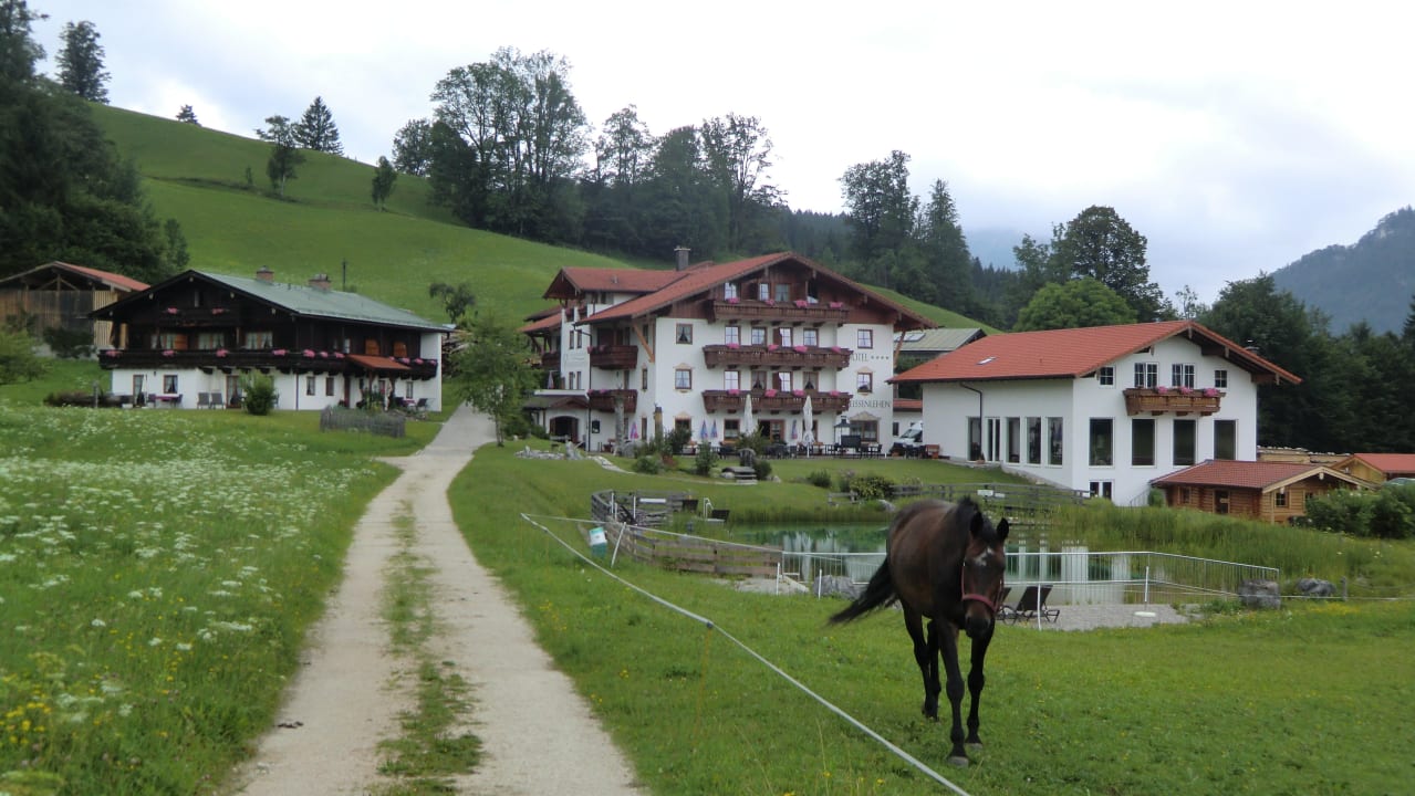 Außenansicht mit Naturschwimmbad Naturhotel Reissenlehen