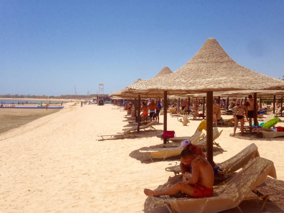 Strand mit ausreichend Liegen und Schirmen JAZ Neo Sharks Bay