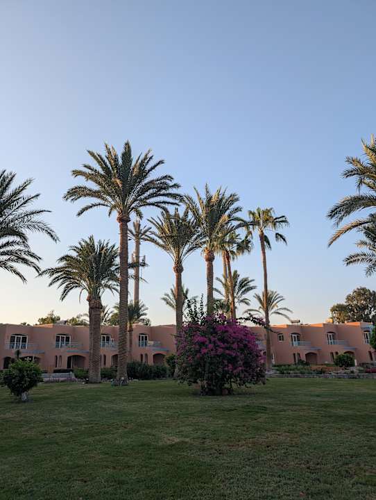 Gartenanlage Club Paradisio El Gouna, Red Sea