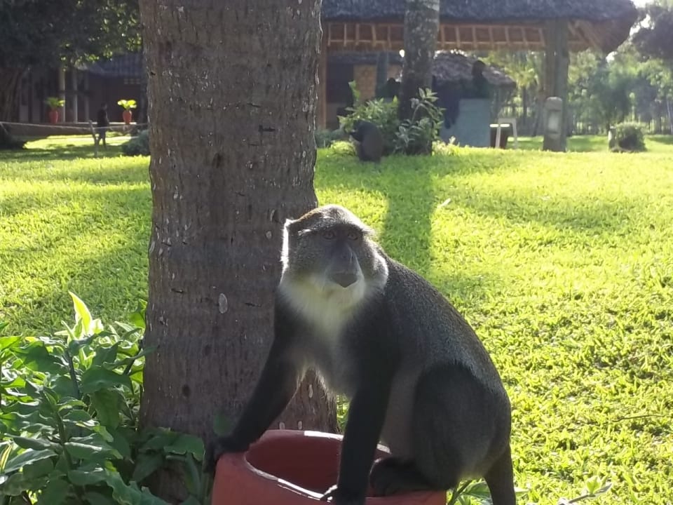 Gartenanlage Neptune Paradise Beach Resort & Spa