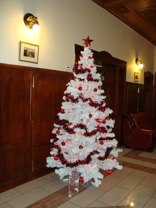 Choinka prz recepcji Hotel Pałacyk