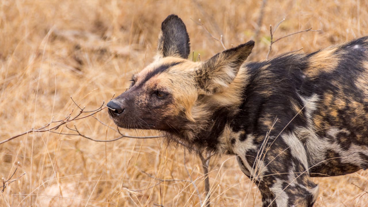 Sonstiges Hotel Rio Vista Lodge
