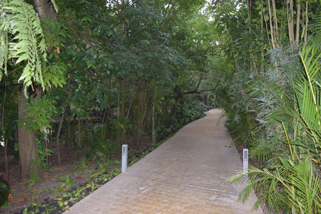 Weg zum Strand Viva Heavens by Wyndham - All Inclusive Resort