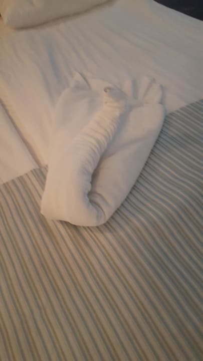 Zimmer Hotel Lion Sunny Beach