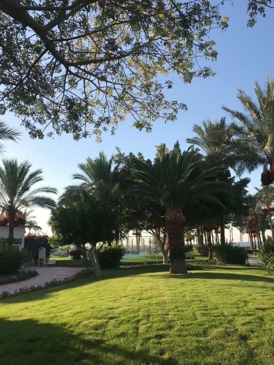 Gartenanlage Desert Rose