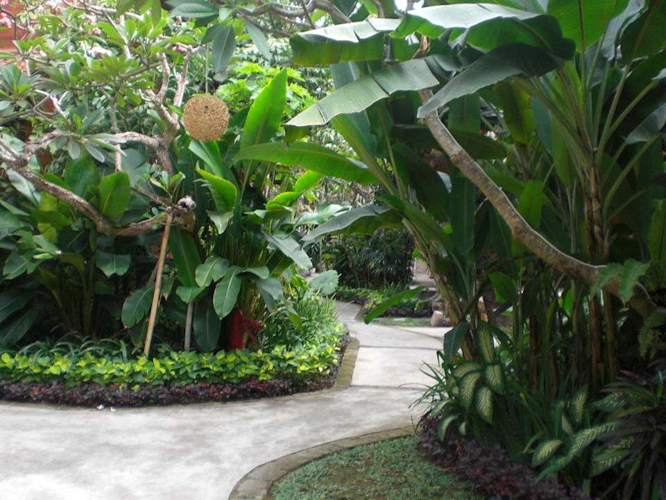 Sehr schön geflegter Garten Hotel Keraton Jimbaran Resort