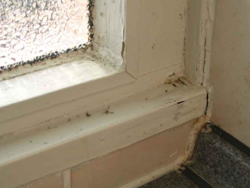 Fenster Damp Ostsee Resort & Ferienpark