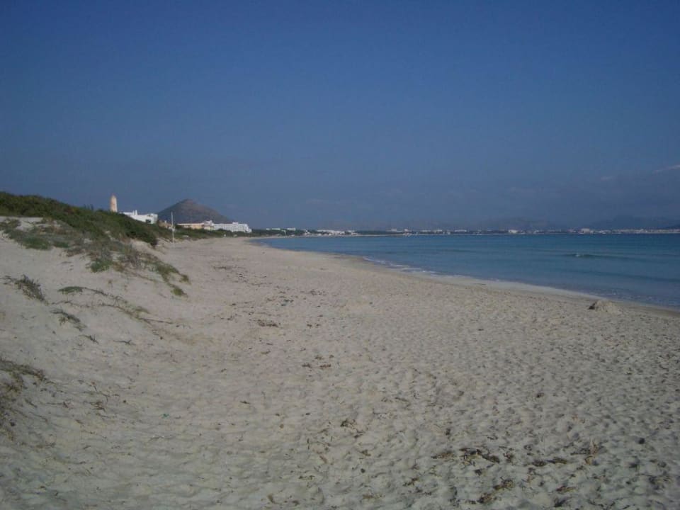 Eden Playa, der Strand allsun Hotel Eden Playa