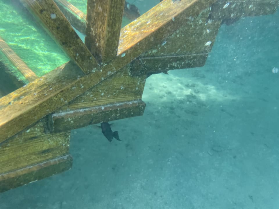 Strand Gravity Hotel & Aquapark Sahl Hasheesh