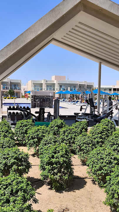 Sport & Freizeit Pickalbatros Sea World Resort - Marsa Alam