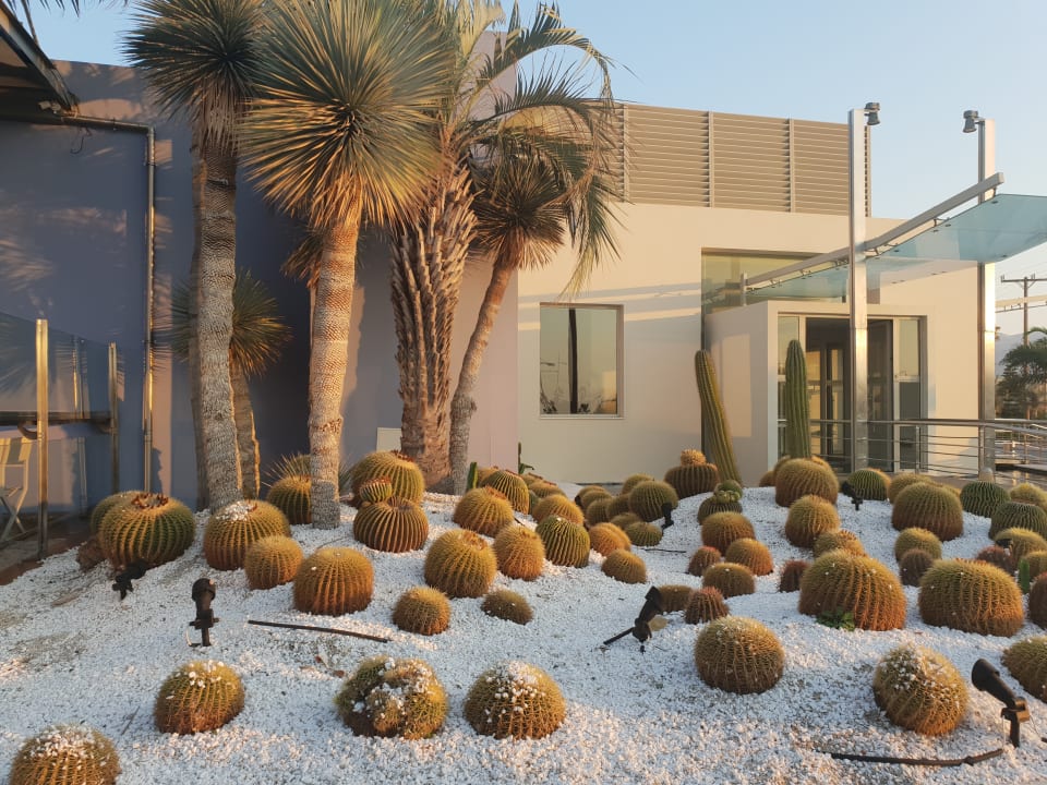 Gartenanlage Blue Lagoon Resort